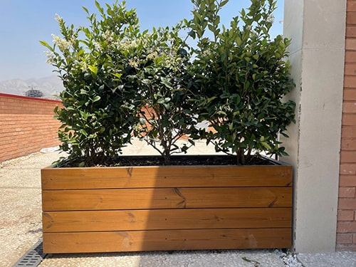 فلاورباکس چوبی