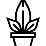 گلدان های خود آبیار