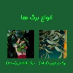 درخت مصنوعی شکوفه بزرگ کینگ - تصویر 9