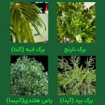 درخت مصنوعی شکوفه بزرگ کینگ - تصویر 8
