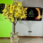 درخت شکوفه سایز متوسط پرنس