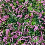 گرین وال ترکیبی 40×60 کد ۰۵