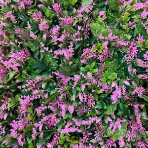 گرین وال ترکیبی 40×60 کد ۰۵