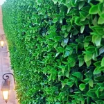 گرین وال ویولت سبز دو رنگ ۴۰×۶۰