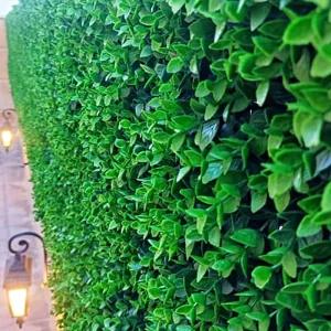 گرین وال ویولت سبز دو رنگ ۴۰×۶۰