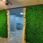 گرین وال ویولت سبز دو رنگ ۴۰×۶۰ - تصویر 3