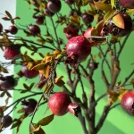 درختچه مصنوعی انار 15شاخه - تصویر 4