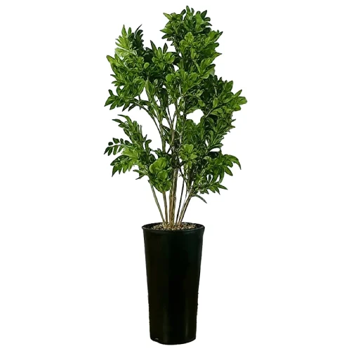 درخت مصنوعی اقاقیا