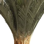درختچه مصنوعی سیکاس - تصویر 3