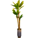 درخت موز سه تکه