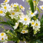 بوته مصنوعی بابونه با گل سفید