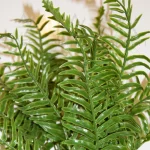 بوته مصنوعی سرخس ژلاتینی - تصویر 2