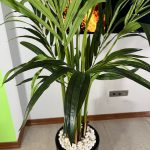 درختچه مصنوعی اریکا