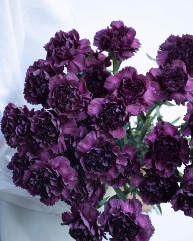 گرین آژاکس