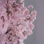 درخت شکوفه صورتی (۱۰۰ شاخه با ارتفاع 5 متر ) - تصویر 3