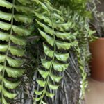 گرین وال ترکیبی مدل GW‑05 - تصویر 11