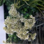 گرین وال ترکیبی مدل GW‑05 - تصویر 8