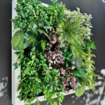 گرین وال ترکیبی (استوایی) مدل GW‑13 - تصویر 6