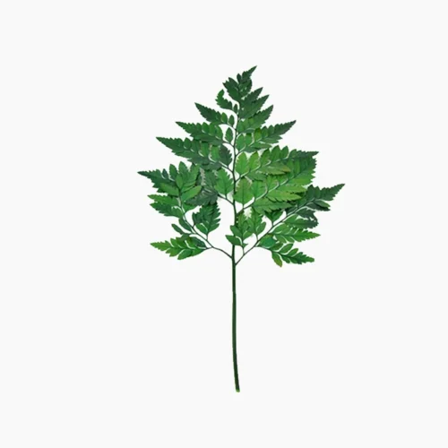 برگ چرم تثبیت شده